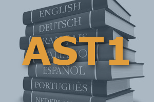 EPSO/AST/144/17 – Convocadas 36 plazas para asistentes lingüísticos